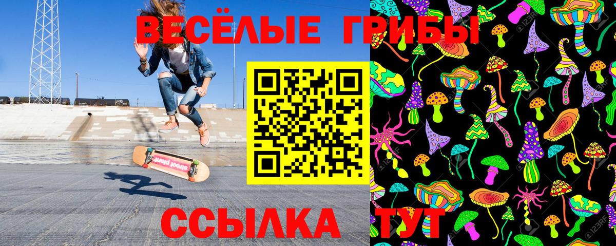 Галлюциногенные грибы мухоморы  Псилоцибиновые грибы прущие грибы  Сосновый Бор  Вход с VPN 