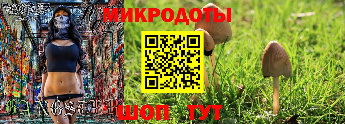 Галлюциногенные грибы Psilocybine cubensis Сосновый Бор